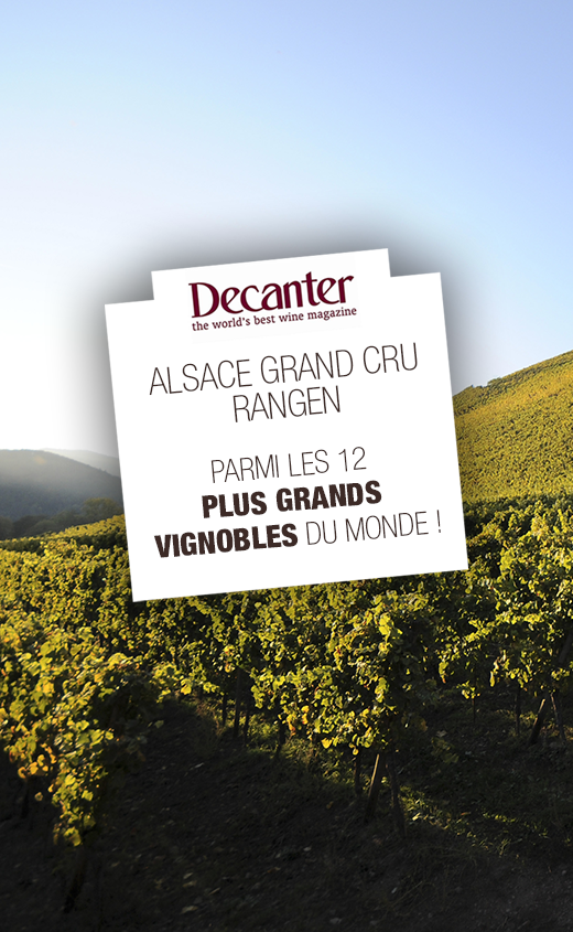 Les vins Grands Crus d'Alsace Wolfberger → élegance et patrimoine